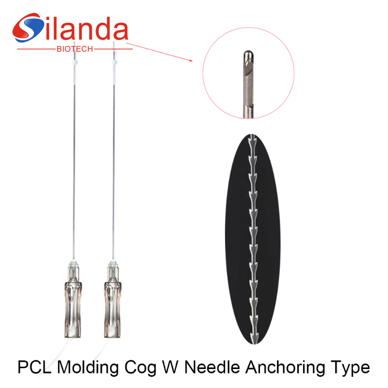 Dermabelle Lift Fish Bone Molding COG PCL Lifting Thread
