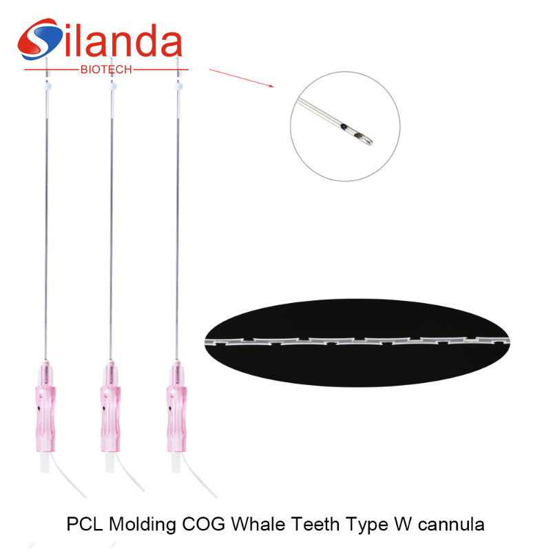 Dermabelle Lift PCL Thread COG Whale Teeth Type